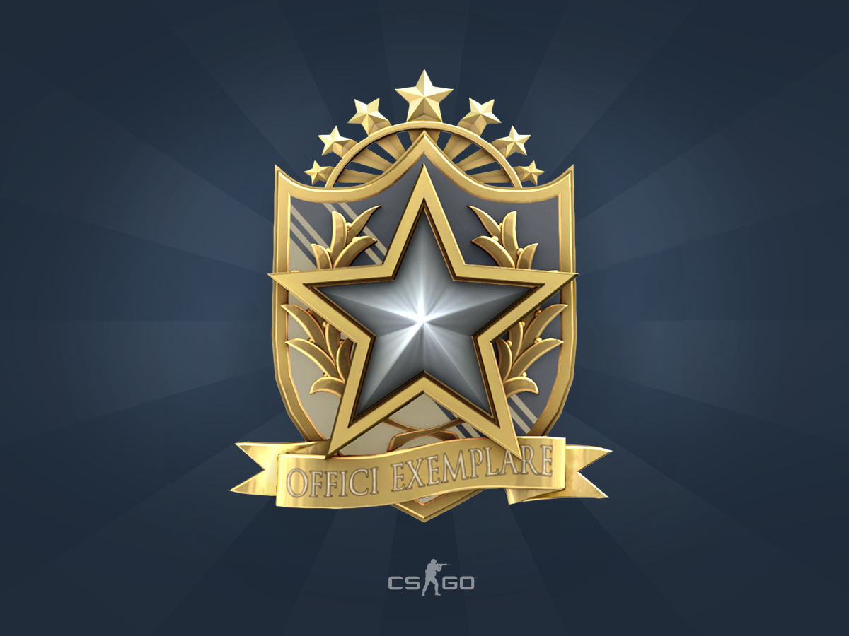 CSGO 2022年服役勋章
